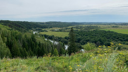 В Кировской области лесные угодья занимают 63% территории