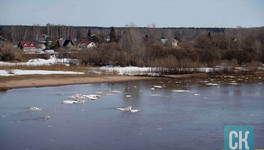 В МЧС назвали главные шаги для подготовки к паводку