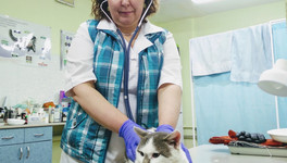 В Кирове умерла ветеринар Наталья Делимарская