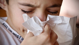 В Кировской области зарегистрирован первый случай «свиного» гриппа в сезоне