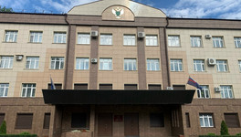 Жительница Тужи получила 5 месяцев колонии за долг по алиментам
