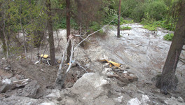 В Кирове забетонировали участок леса строительными отходами