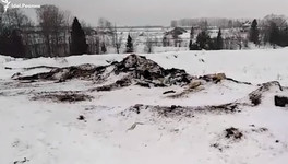 СПК «Соколовка» устроил свалку останков животных неподалёку от посёлка
