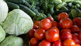 В правительстве обсудили меры по сдерживанию роста цен на овощи