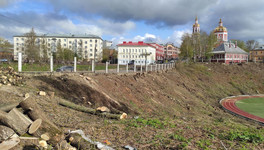 На Казанской вырубили деревья рядом со стадионом «Трудовые резервы»