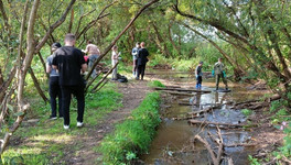 В первых городских субботниках приняли участие более двух тысяч кировчан