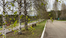 В Кирове разыскивают 17-летнего Сергея Шабалина