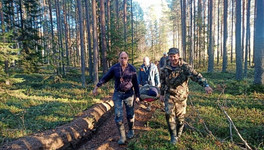 В Слободском лесу спасли женщину, собиравшую клюкву на болоте