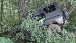 Водитель УАЗа погиб, врезавшись в дерево в Тужинском районе