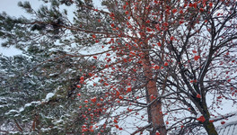 8 марта кировчан ожидает похолодание до -26
