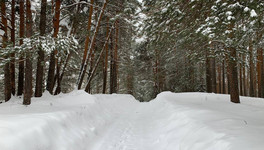 Россиян предупредили о полной рабочей неделе перед 8 Марта