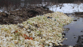 Рядом с Истобенском ликвидировали свалку пищевых отходов