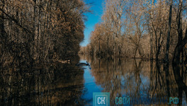 В Кирове на затопленной улице застряла машина