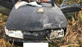 В Кировской области водитель «ВАЗа» погиб в ДТП с лосем