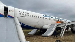 Самолёт, севший в поле в Новосибирской области, может продолжить полёты