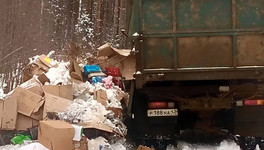 «Начали мусор валить по деревням»: лубягинский активист сообщил о появлении незаконных свалок