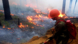 Шестерых кировчан отправили в Коми на тушение лесных пожаров