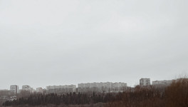 Депутат Немкин предупредил о мошенничестве в «Черную пятницу»