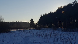 По требованию прокуратуры в Кировской области ликвидировали свалку на особо охраняемой природной территории