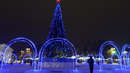 Во всех районах Кирова установят новогодние ели