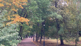 В Кировской области состоится второе голосование за благоустройство парков и скверов региона