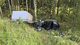 В Кикнурском районе в ДТП с «Шевроле Нивой» пострадали двое