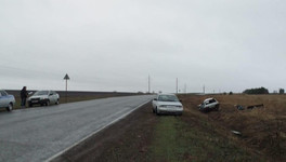 На трассе под Малмыжем «ВАЗ» улетел в кювет: погиб 22-летний водитель