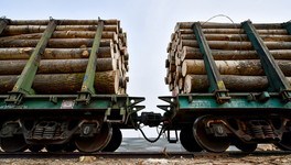В Кировской области с рельсов сошли вагоны с лесоматериалом