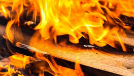 В ночном пожаре в деревне Лубягино погибла женщина