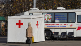 Более 245 тысяч жителей Кировской области сделали прививку против гриппа