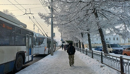 Метеорологи прогнозируют аномальную зиму в Кировской области
