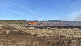 В Кировской области дети развели костёр и сожгли склад с рулонами сена