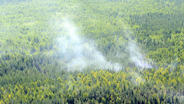 В Верхнекамском районе система видеомониторинга обнаружила лесной пожар