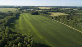Заброшенные земли Кировской области возвращают в сельхозоборот