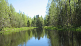 Национальный парк «Вятка» в Кировской области создадут в 2022 году