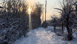 Снежный покров в Кировской области достиг полуметра