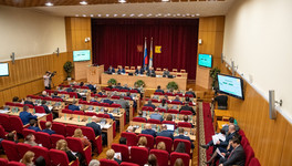 Депутаты Заксобрания области одобрили поправки в Конституцию