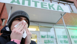 Роспотребнадзор: свиной грипп выявили во всех регионах России