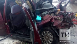 В Татарстане при лобовом столкновении погиб пассажир «десятки» из Кировской области