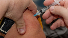 Массовую вакцинацию от коронавируса планируют начать до Нового года