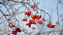 «Сильнейшее похолодание за четыре года»: в Кировскую область придут 30-градусные морозы