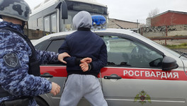 Кировчанина задержали за несколько хищений из магазина