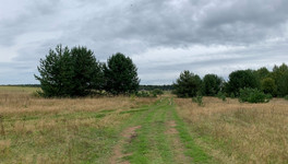 В Кировской области готовятся к пожароопасному сезону