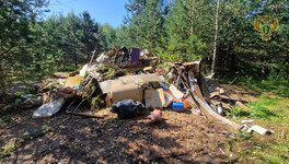 Природоохранная прокуратура заставила вуз убрать свалку у деревни Вахрёнки