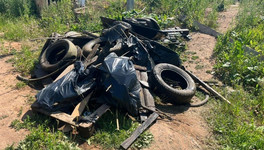 Из пруда в Метрограде достали 380 кг шин