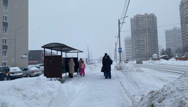 В конце января в Кировской области может резко потеплеть