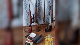 Останки лосей, колбаса и огнестрельное оружие: в Кировской области выясняют обстоятельства незаконной охоты