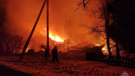 Страшный пожар в Унинском районе унёс жизни двух мужчин. Видео