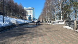 Врач объяснила, что означает привычка досаливать пищу