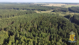 В Кировской области с помощью дрона нашли заблудившегося подростка